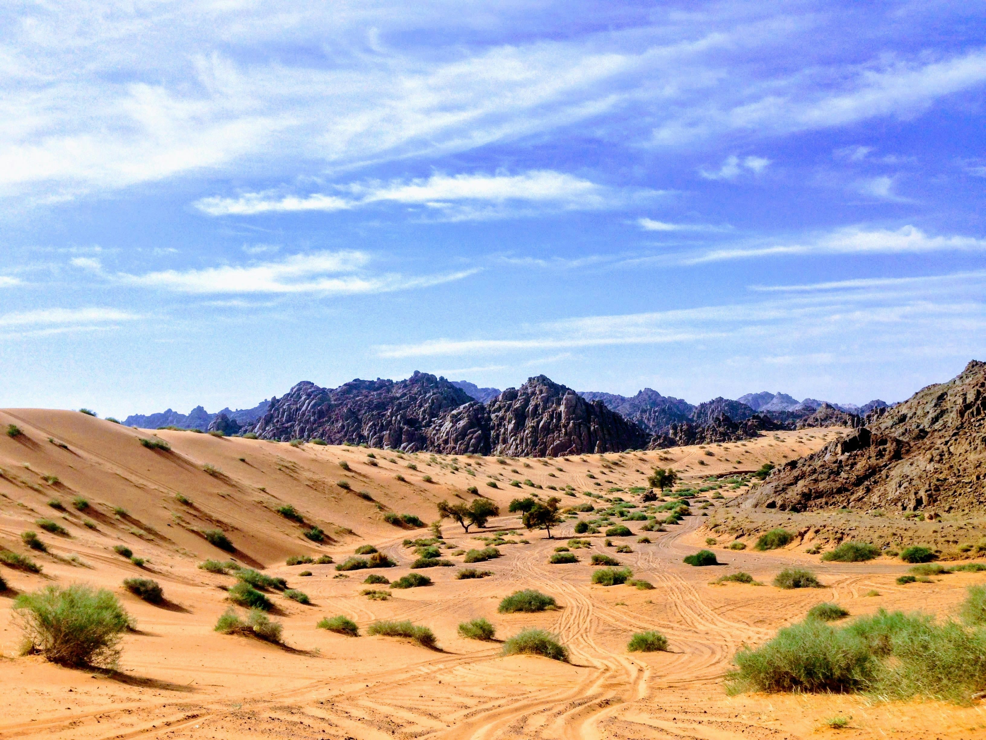 أجمل المغامرات الصحراوية التي يمكنك خوضها في السعودية